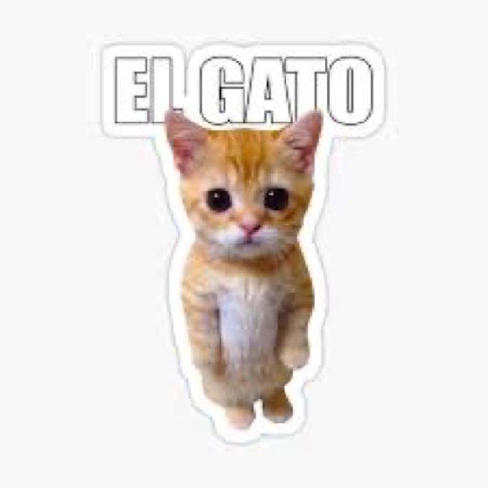 Meet your Posher, Sophia